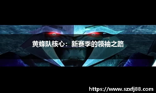 黄蜂队核心：新赛季的领袖之路